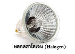 หลอดฮาโลเจน Halogen