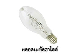 เมทัลฮาไลด์